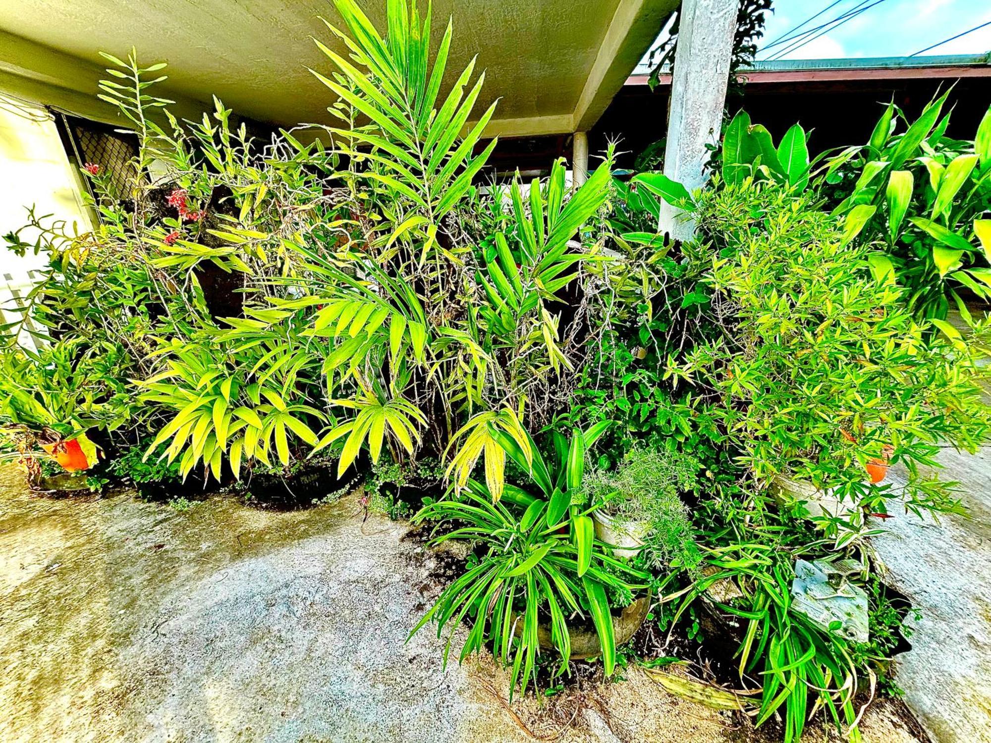 Feiloakimisi 3 Lägenhet Nuku'alofa Exteriör bild